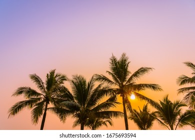 Beautiful nature with palm tree around sea ocean beach at sunset or sunrise time