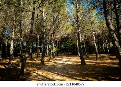 Beautiful Nature Pics In Sardinia