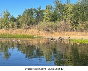 Beautiful Nature Pictures In Chico California