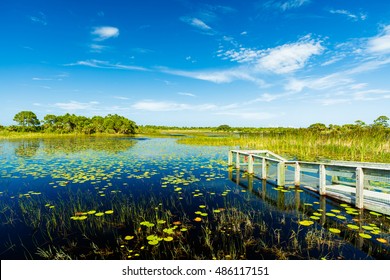 Beautiful Nature Preserve In Port Saint Lucie Florida.