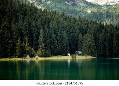 Beautiful nature scenery. Reflection in water of forest of towering pine trees. Mountain lodge in summer. Nature, forest concept