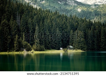 Beautiful nature scenery. Reflection in water of forest of towering pine trees. Mountain lodge in summer. Nature, forest concept