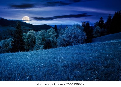 beautiful nature scenery in spring at night. countryside landscape in the carpathian mountains with fresh green meadows and coniferous forest in full moon light. clouds on sky above the distant ridge