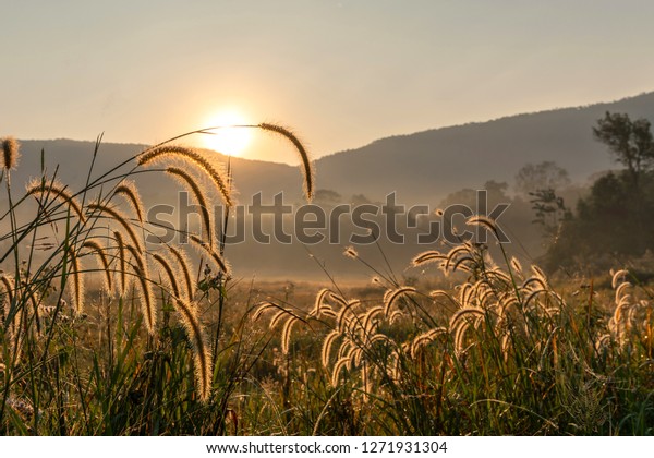 Featured image of post Sunrise Beautiful Scenery Pictures Flowers Sky pictures with clouds 55