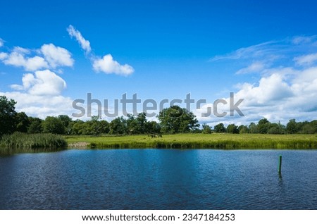 Beautiful nature of Sweden, calm water, river bank with lush green grass horses graze in distance, trees on the horizon, blue sky white fluffy clouds, summer sunny day, Kolbäcksån river, Strömsholm