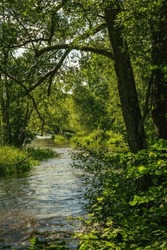 Beautiful Nature View Of A Small Stream Flowing Through Lush Green Vegetation In Beautiful Summer Sunlight