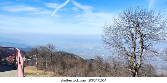 Beautiful Nature View In Winter Without Snow