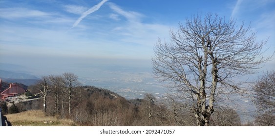 Beautiful Nature View In Winter Without Snow