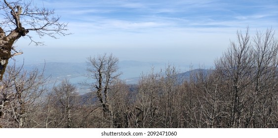 Beautiful Nature View In Winter Without Snow