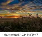 Beautiful Nebraska sunset in nature