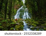 Beautiful Nelson Falls, Tasmania, Australia