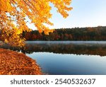 Beautiful New England Fall Foliage with reflections at sunrise, Boston Massachusetts.