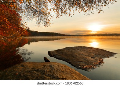 Beautiful New England Fall Foliage With Water Reflections At Sunrise , Boston Massachusetts.