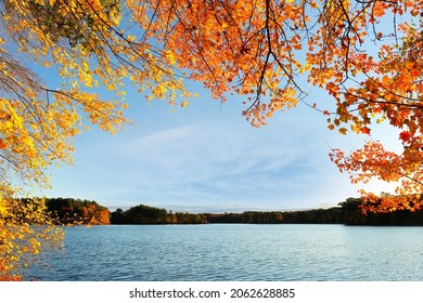 Beautiful New England Fall Foliage With Reflections At Sunrise, Boston Massachusetts.