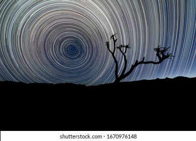 A beautiful night sky landscape with circular star trails, with a Quiver Tree silhouetted in the foreground and mountains on the horizon, in the Richtersveld National Park, South Africa.