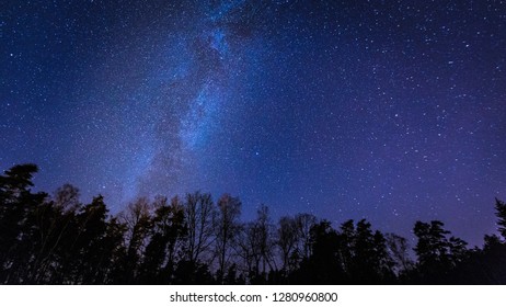 Beautiful night sky with Milky Way over forest. Night landscape. - Shutterstock ID 1280960800