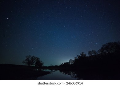 A Beautiful Night Sky, The Milky Way And The Trees