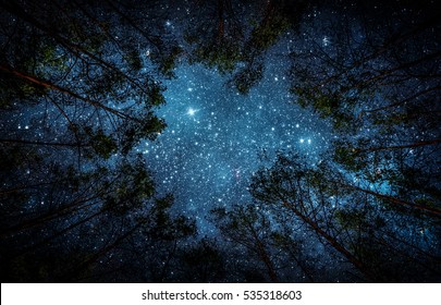 Beautiful night sky  the Milky Way   the trees  Elements this image furnished by NASA 
