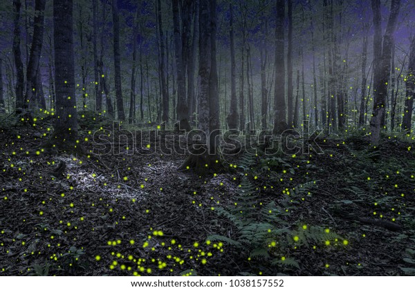 Burning forest nighttime фон стим