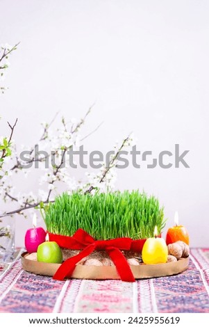 Beautiful Novruz tray on rug with semeni - wheat grass with red ribbon, festive candles on national Azerbaijani carpet table cloth with blooming branch,Spring equinox and new year celebration in Baku.