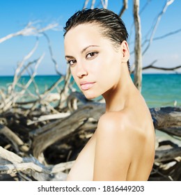 Beautiful Nude Woman On Beach Driftwood Stock Photo Shutterstock