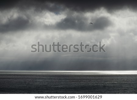 the beautiful ocean in Newzealand with lightrays coming through the clouds