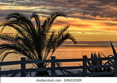 Beautiful ocean sunset with palm tree silhouette as seen from Palisades Park in Santa Monica, California. - Shutterstock ID 1096532309