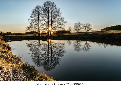 Beautiful old tree with sunrays reflected in water.Rural spring landscape with trees against blue sky at sunset.Peaceful and suitable atmosphere for meditation.Lone tree silhouette at dawn.Serenity