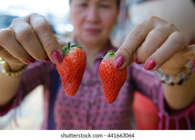 Beautiful old woman holding fresh strawberries,focus is on the strawberries,Busan in Korea