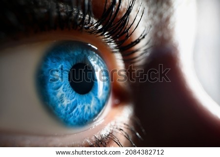 Beautiful open female eye, bright blue lenses, close-up