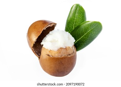 Beautiful open shea nut, with shea butter inside
