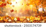 Beautiful Orange fall leaves in park, autumn natural background