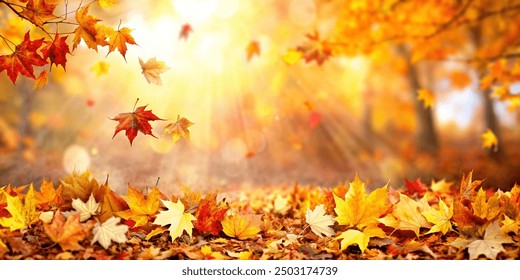 Beautiful Orange fall leaves in park, autumn natural background - Powered by Shutterstock