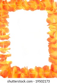 Beautiful Orange Floral Hawaiian Lei Border Or Frame Isolated On White Background