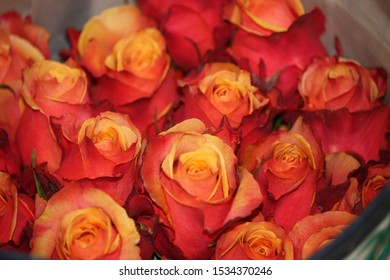 Beautiful Orange Rose Bouquet In Ecuador