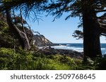 Beautiful Oregon Coast Views, Summer, Oregon, USA