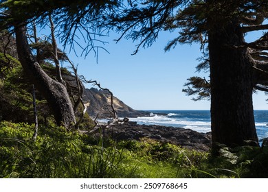 Beautiful Oregon Coast Views, Summer, Oregon, USA - Powered by Shutterstock