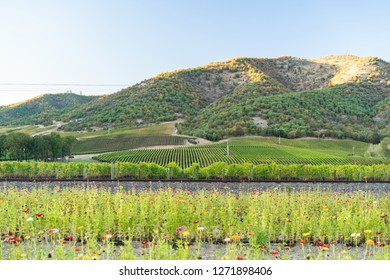 Beautiful Oregon Winery