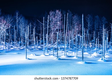 Beautiful Outdoor Landscape With Blue Pond River At Night With Light Up In Snow Winter Season At Biei Hokkaido Japan