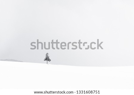 Similar – Image, Stock Photo Sunny winter spot