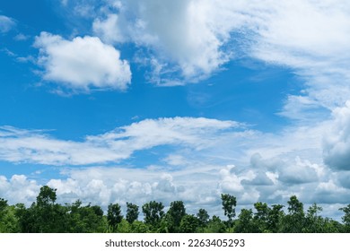 Beautiful outdoor summer nature landscape and wonderful clouded bluesky background