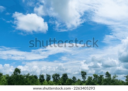 Beautiful outdoor summer nature landscape and wonderful clouded bluesky background