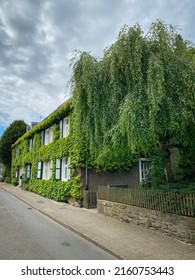 Beautiful overgrown vine leaf covered house in the district “Margarethenhöhe”, the first settlement of the garden city movement in Germany.
