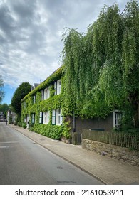 Beautiful overgrown vine leaf covered house in the district Margarethenhoehe, the first settlement of the garden city movement in Germany.