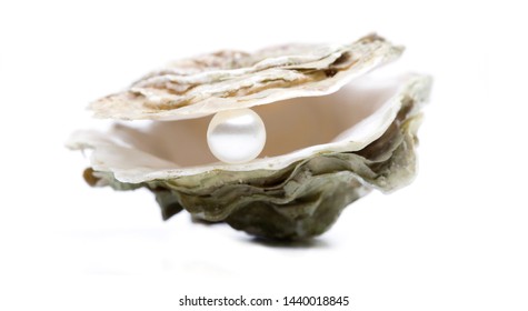 Beautiful Oyster With Pearl Isolated