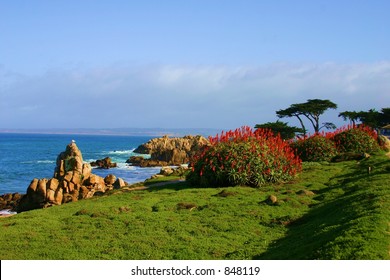 Beautiful Pacific Grove