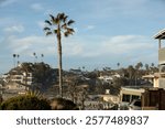 Beautiful palm trees and buildings on a warm afternoon in downtown Encinitas, California, USA.