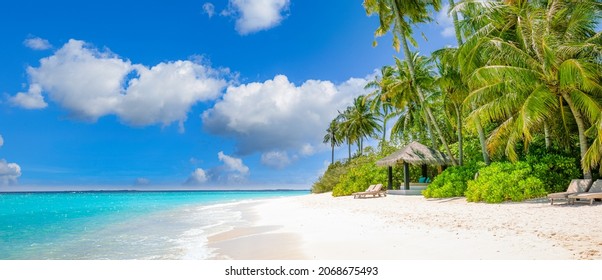 Beautiful palm trees on tropical island beach, blue sky with white clouds and turquoise ocean lagoon on sunny day. Amazing natural landscape for summer vacation, traveling destination. Exotic scenic - Powered by Shutterstock