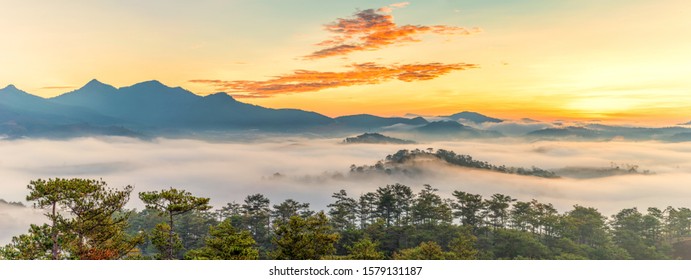 Beautiful panorama landscape of foggy mountain and forest at sunrise - Powered by Shutterstock