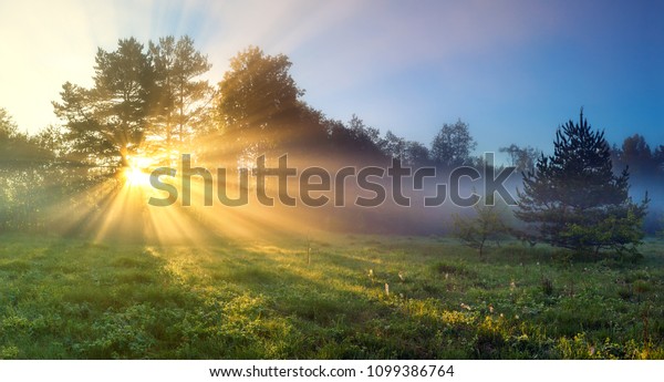 beautiful\
panorama landscape with sun and forest and meadow at sunrise. sun\
rays shine through trees. panoramic\
view